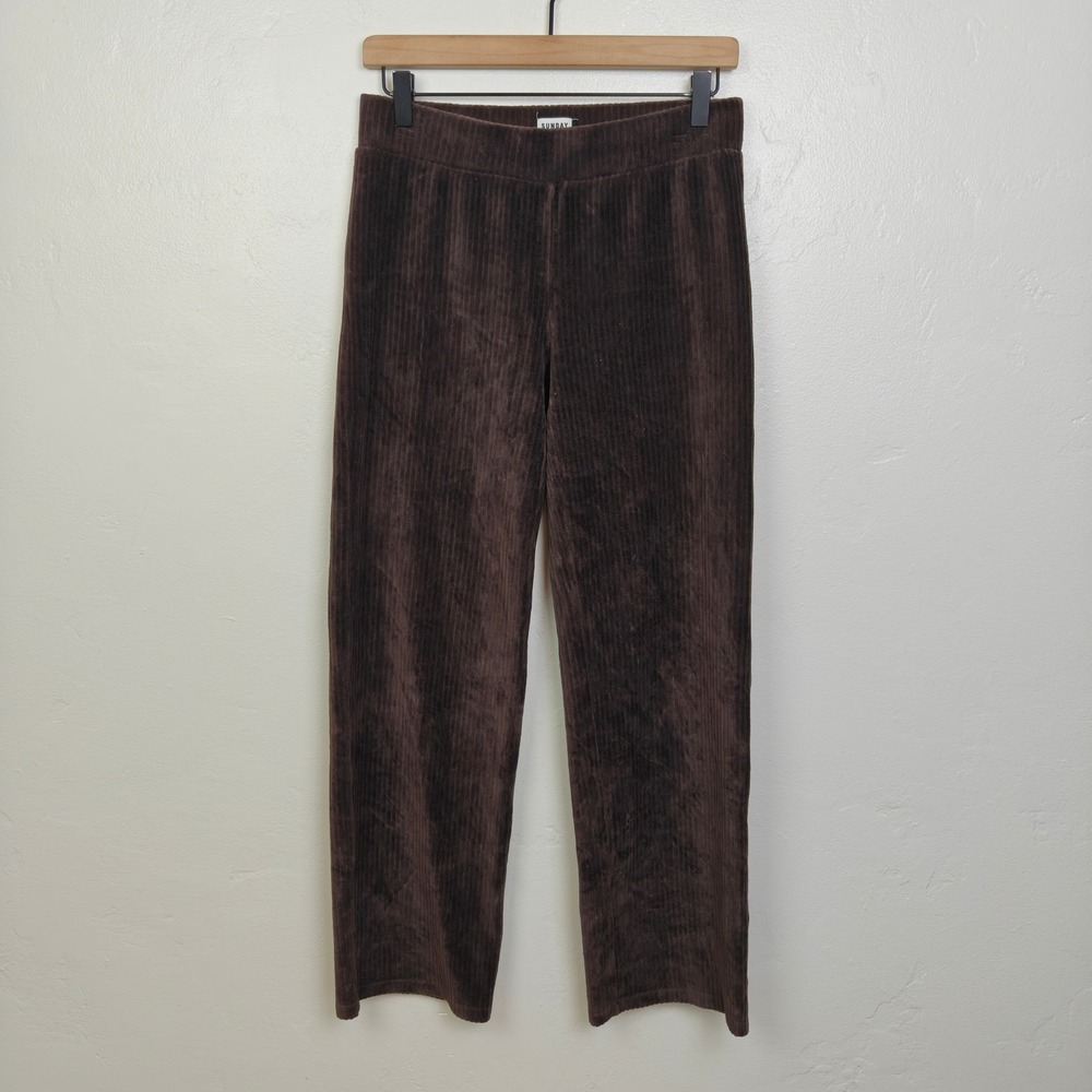 Aritzia Sunday Best Womens Pants Small Brown Ribbed Corduroy Dark Academia - Picture 2 of 9